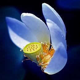 堀井雄二透露《勇者斗恶龙12》消息 战斗方面对手残党友好